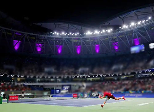 平果县体育比赛