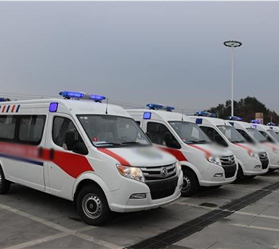 平果县服务车队展示